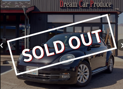 ザ・ビートル（売約済み）